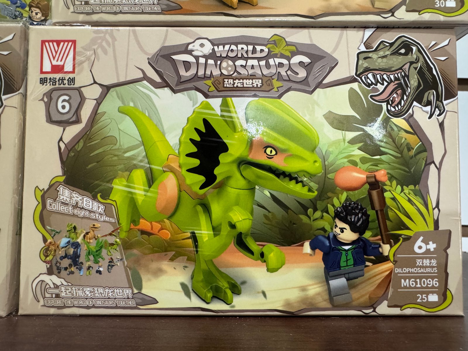 Dinosaurios caja chica (8)