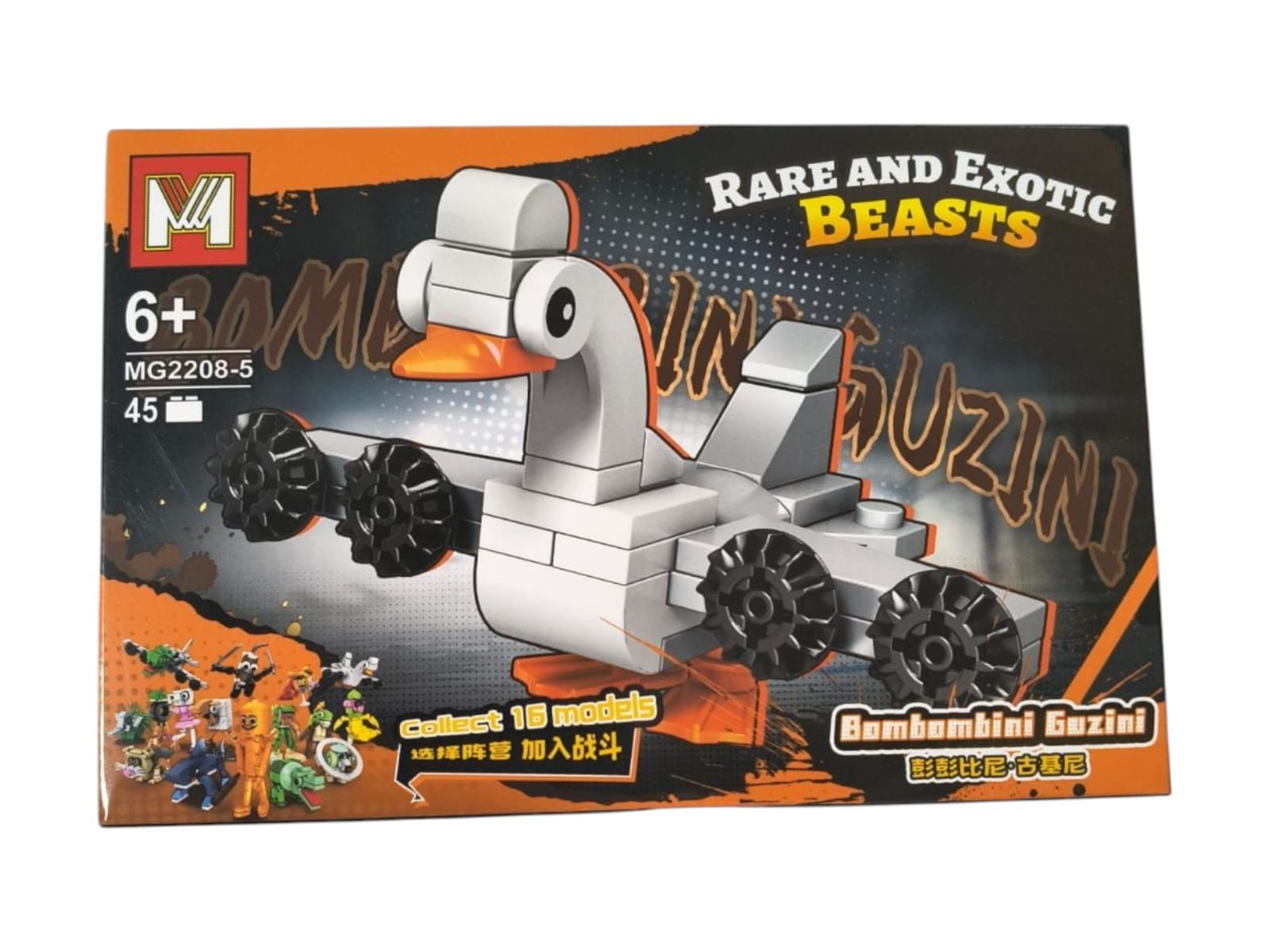 LES BRAIN ROOT chico