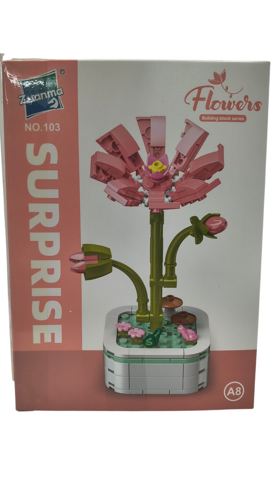 PLANTAS EN MACETAS