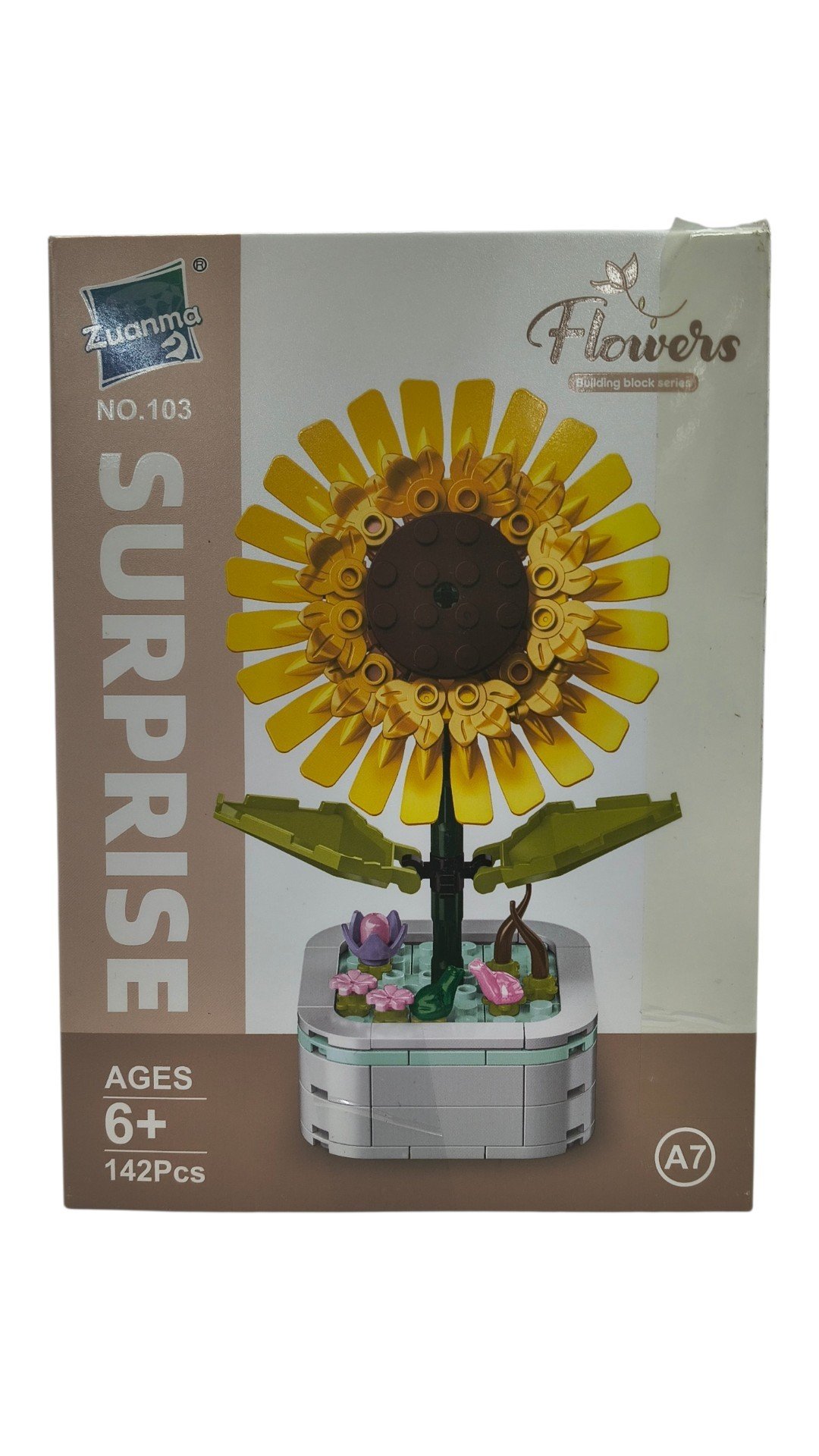 PLANTAS EN MACETAS